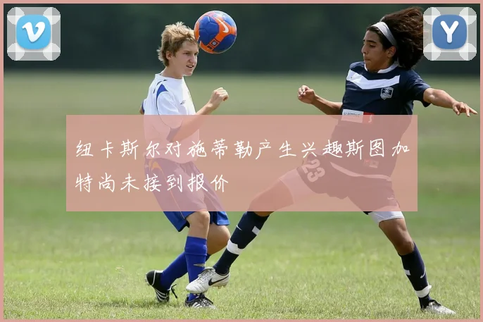 纽卡斯尔对施蒂勒产生兴趣斯图加特尚未接到报价